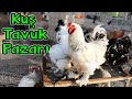 İZMİR KUŞ PAZARI | GÜVERCİN TAVUK KAZ HİNDİ ... NE ARARSAN VAR!