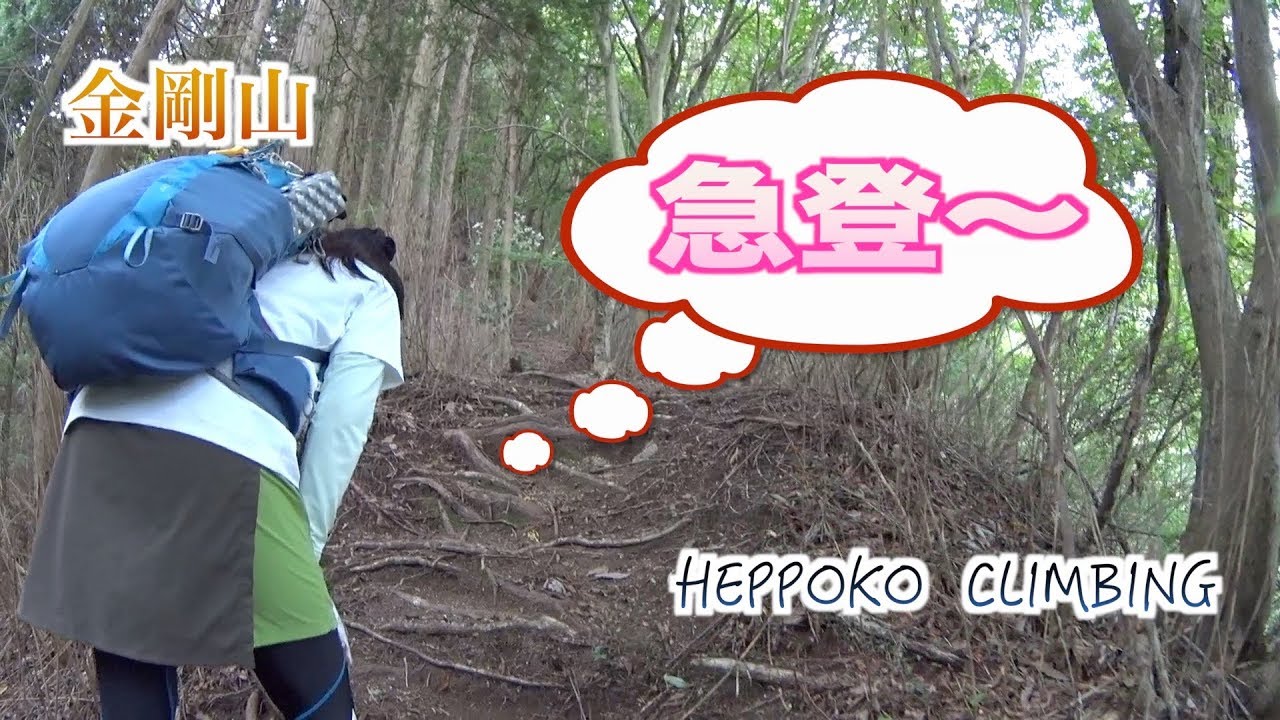 へっぽこ登山 金剛山 19 大阪府 奈良県 中尾の背ルート Youtube
