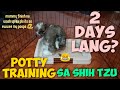 HOW TO POTTY TRAIN YOUR PUPPY/DOG INDOOR | PAANO TURUAN ANG ASO NA MAG POOP AT IHI SA POTTY TRAY
