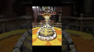 Om trayambakam yajamahe sugandhim prusti #shortvideo #shivshankar #youtubeshort