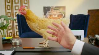 Meat The CEO - Chicken Meat The CEO - Chicken