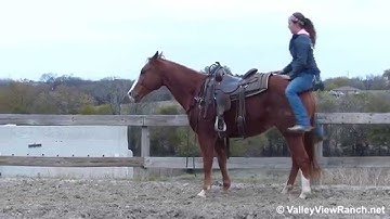 Hot Jazzy Lu - riding bridleless - Valley View Ranch