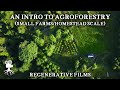 The incredible benefits of agroforestry on small farms  introduction to agroforestry