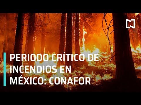 México está en final del periodo crítico de incendios, informa Conafor - Despierta con Loret