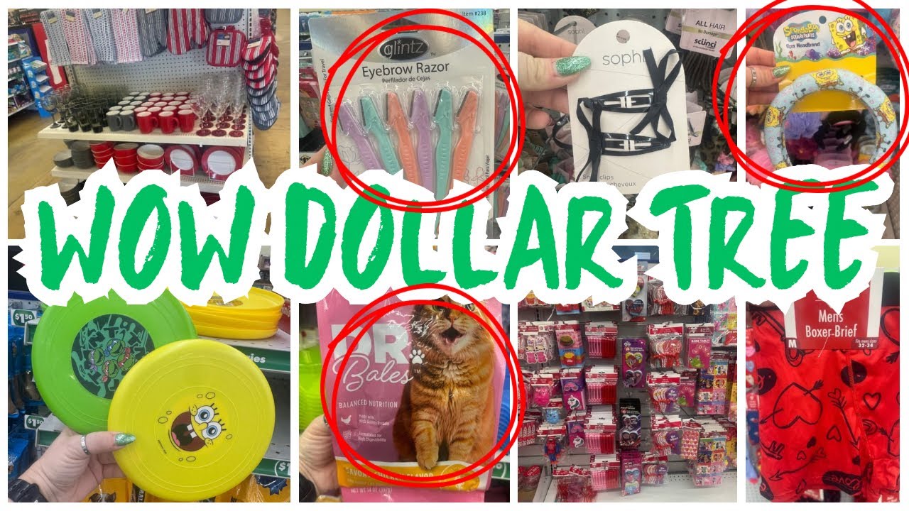 Dollar Tree Valentines Store Walkthrough: Amazing New Arrivals &  Mind-Blowing Deals!