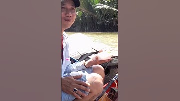 moi tép cau ca ngat siêu nhạy.. ve mien tay que e