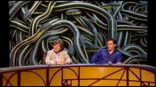 QI XL - H16 - History