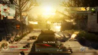 Cod4Mw2 Minitage 'Beautiful Lies'   SMHo Editing contest.mp4