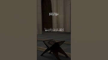 🌿 تلاوة خاشعة من سورة البقرة – الآية 286 بصوت عذب يملأ القلب طمأنينة 🌿