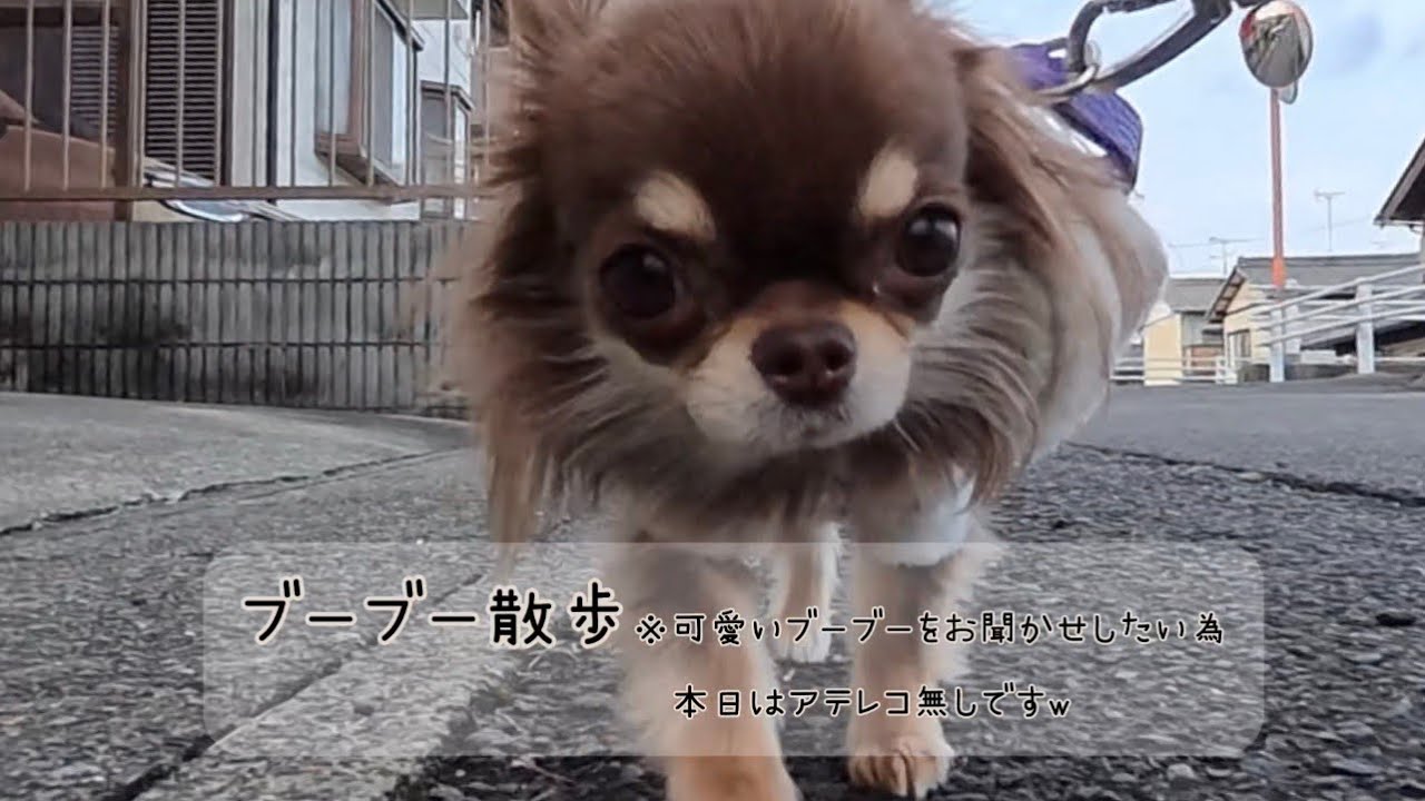 Услышав это однажды, вы уже не сможете оторваться.