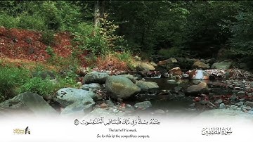 آيات مؤثره يحبرها الشيخ د.#ياسر_الدوسري بآداء كردي خاشع تبارك الله 😥♥️