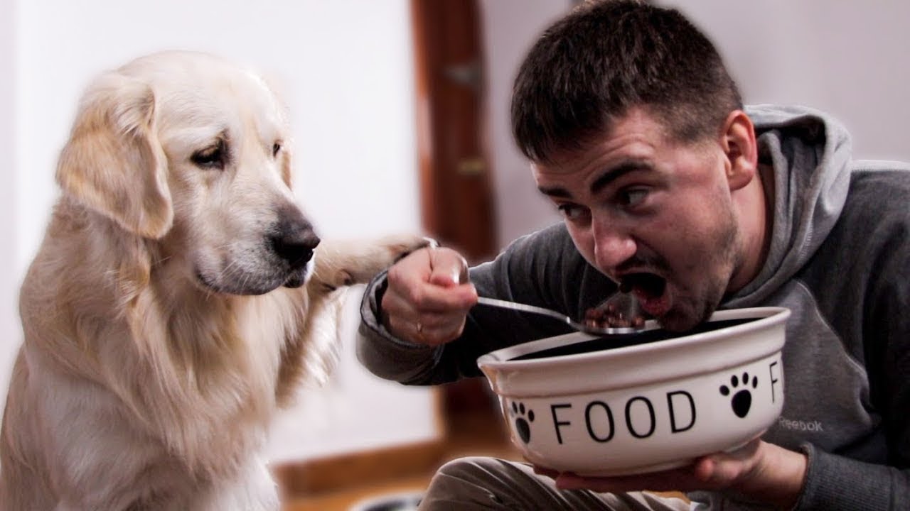 Can Humans Survive Eating Only Dry Dog Food? Let's Find Out!