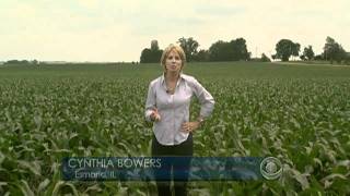 Senate votes to repeal ethanol tax credit