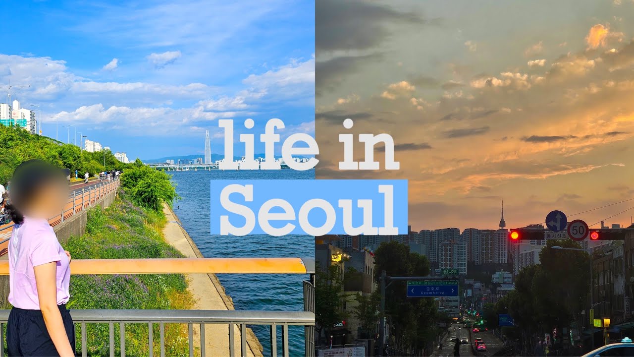 직장인 vlog | ☀️ entj의 삶, 아침 루틴을 만들자 - 번아웃 대처 / 대기업 직장인 이력서 쓰기 / 한강 산책, 프랑스어 공부