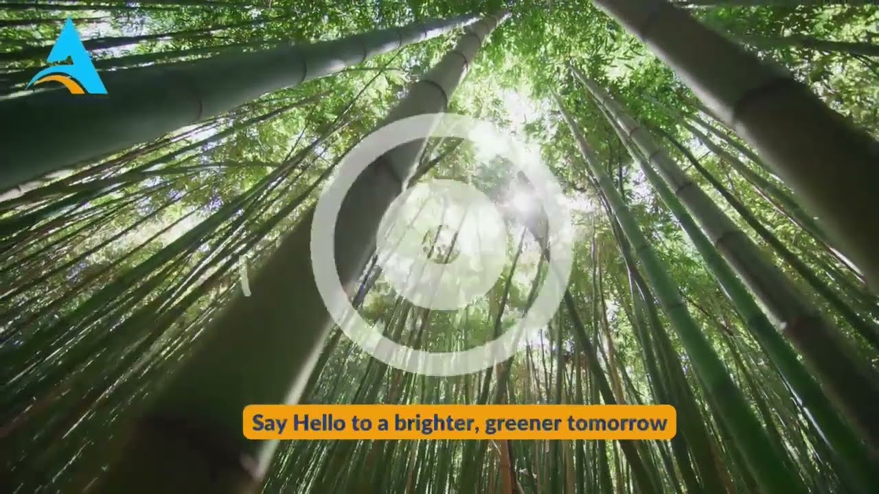 Say Hello to brighter, greener tomorrow!