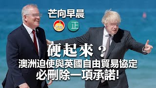 20210912B 硬起來?澳洲迫使與英國自由貿易協定必刪除一項承諾!|芒向早晨