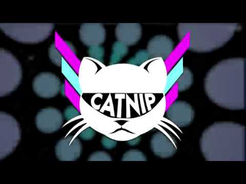 Catnip