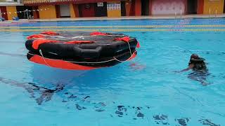Basic Solas training