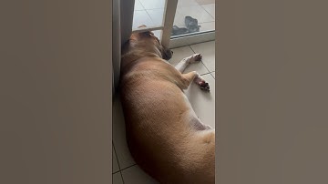 Hết tết rồi dậy kiếm tiền thôi nào✌️