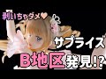 【美少女フィギュア】wave Avian Romance Pink Label 5 白鳥の女の子【開封】【レビュー】