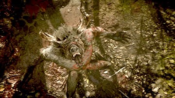 Into the Fog - Find The Cursed - Wrath of the Druids - Assassin