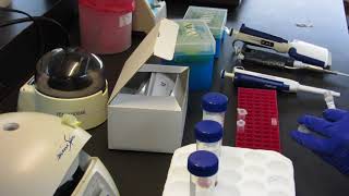 Beer Spoilage Micro Kit Vid