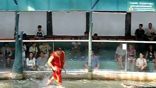 CIMG0806.AVI
