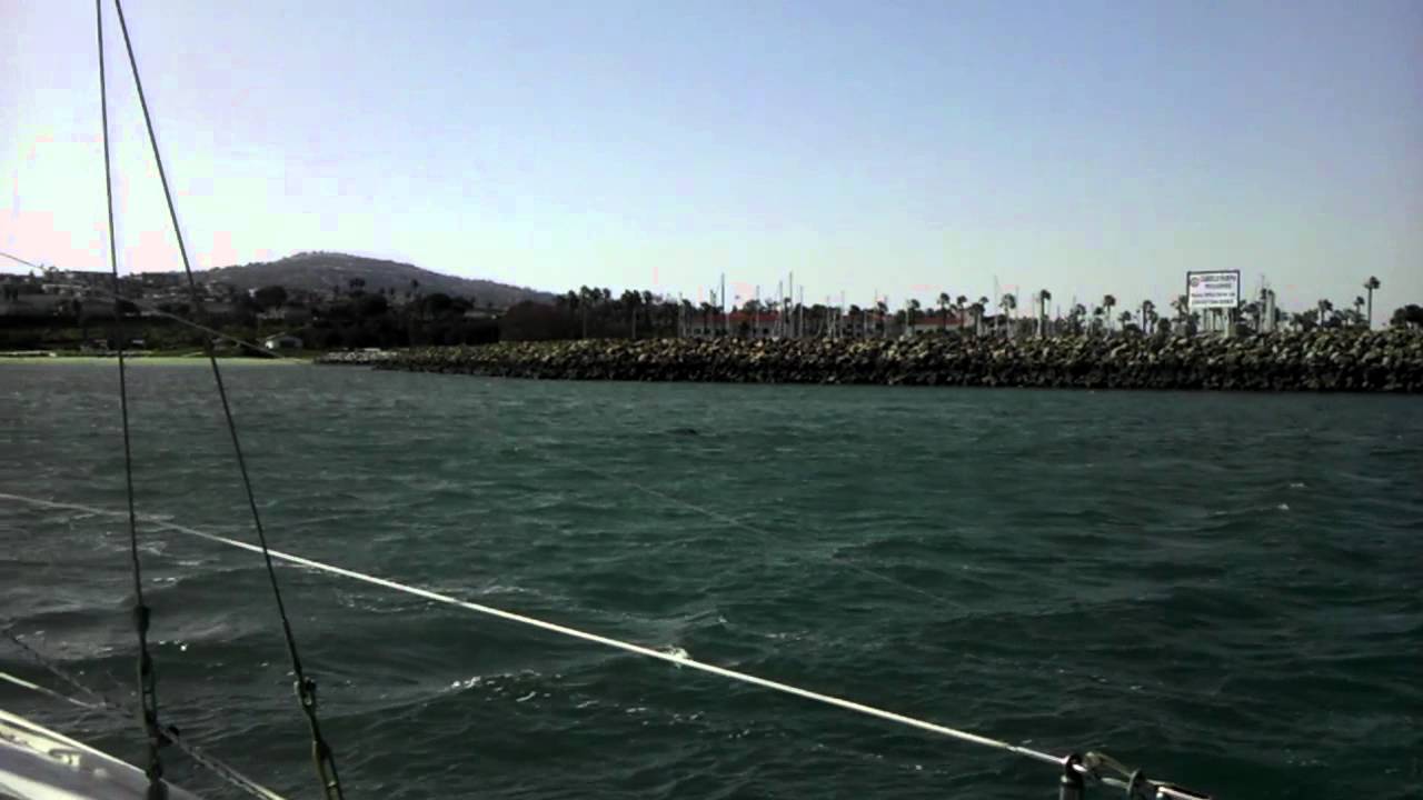 Anchored in the Harbor