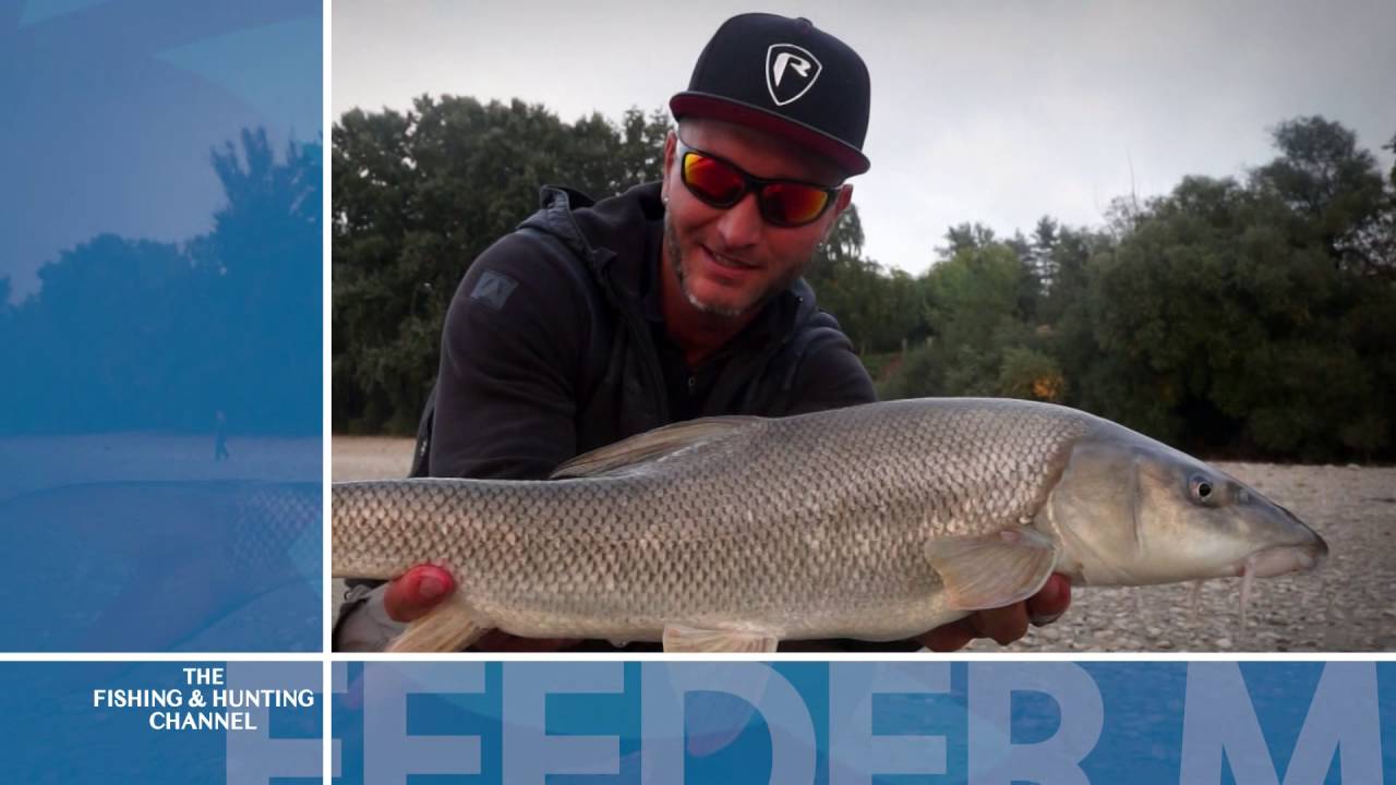 Feedermania minden nap