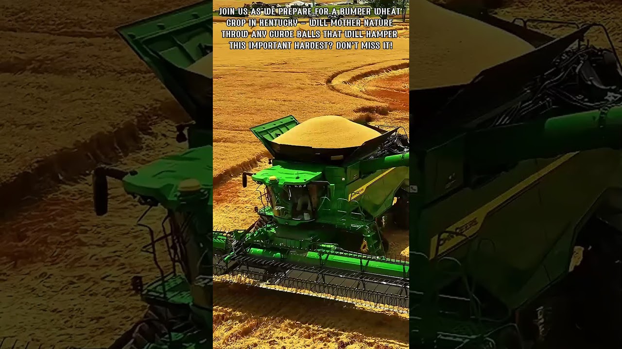 The Secrets of Kentucky Wheat: Will Mother Nature Challenge This Year's Bumper Harvest?