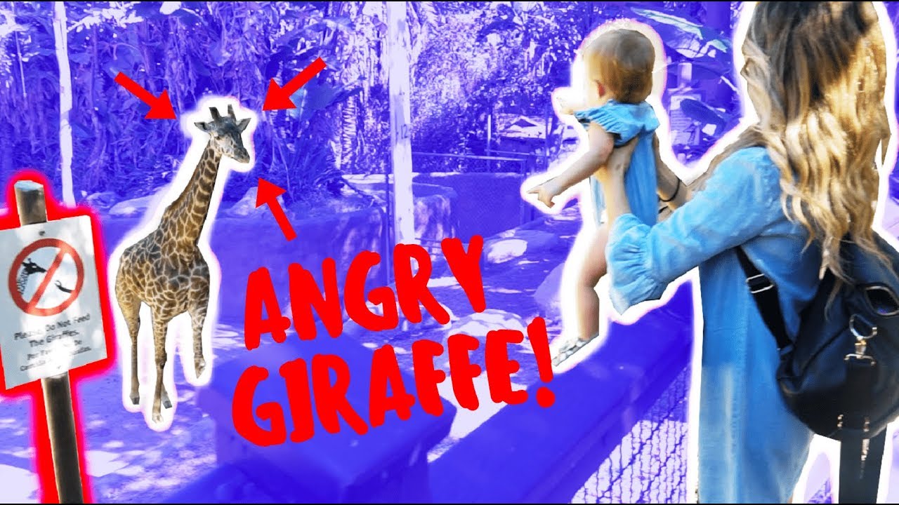 TAYTUM & OAKLEY VISIT THE ZOO!