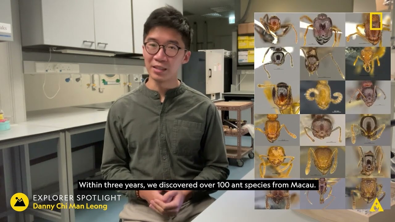 National Geographic Spark Asia 2021