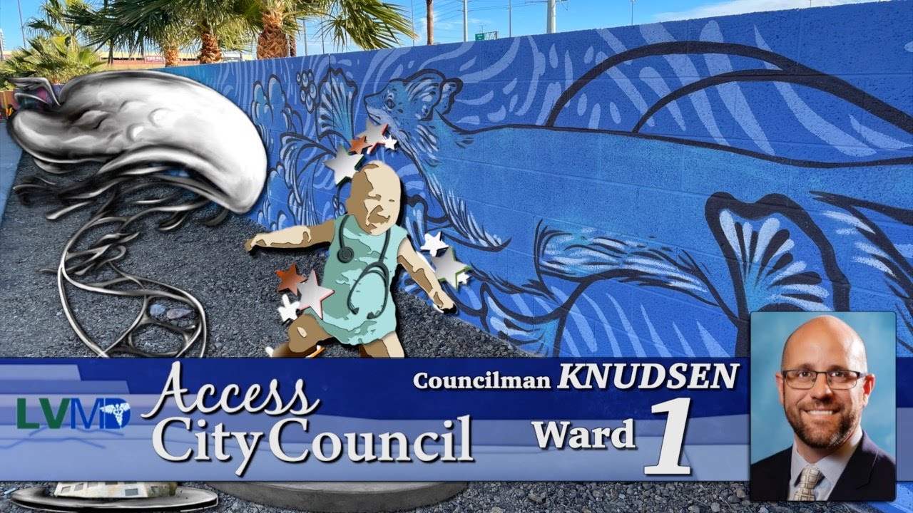 Access City Council - Brian Knudsen
