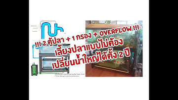 EP.13 !!! 2 ตู้ปลา + 1 กรอง + overflow !!! เลี้ยงปลาน้ำใสๆไม่ต้องเปลี่ยนน้ำได้ตั้ง 2 ปี