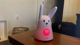 Karotz - Wacky Rabbit Robot Setup screenshot 4