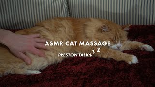 ASMR Cat Massage, Whispering, Petting and Brushing | Preston TalkZZZ screenshot 1