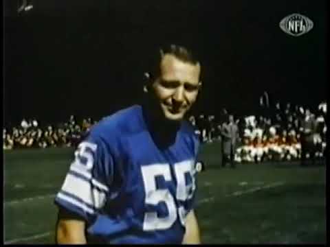 1964 #detroitlions Season Highlights #nfl
