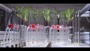 High Throughput Monitoring of Plant VOC Kinetics with a Novel Autosampler and the Vocus PTR TOF