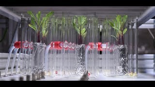 High Throughput Monitoring of Plant VOC Kinetics with a Novel Autosampler and the Vocus PTR TOF Net Worth