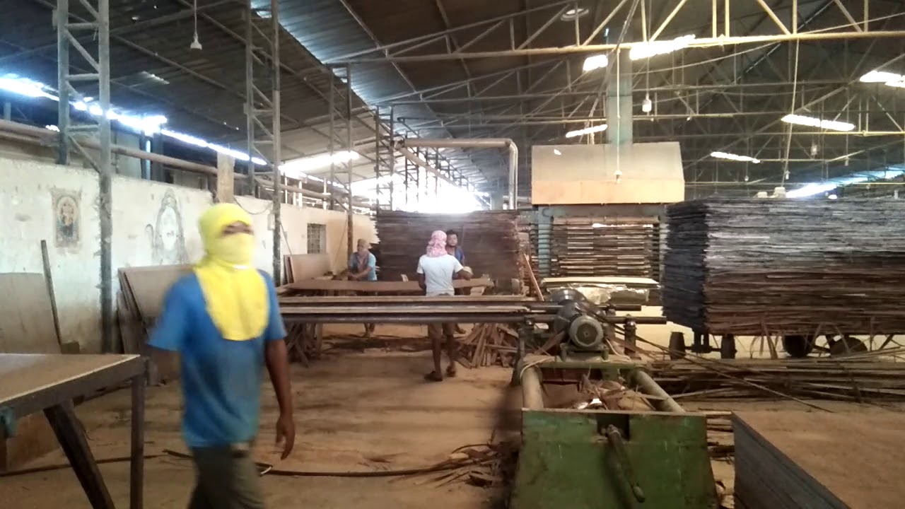 Tirupoti Playwood dd saw cating