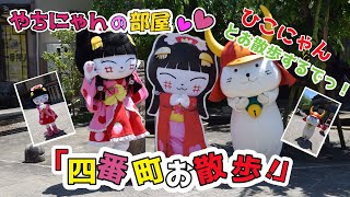 お散歩四番町スクエアをひこにゃんと一緒にお散歩っやちにゃん