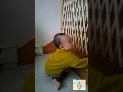 [1년+43,44일] 곤지곤지, 계단 오르기, 잡고 일어서기