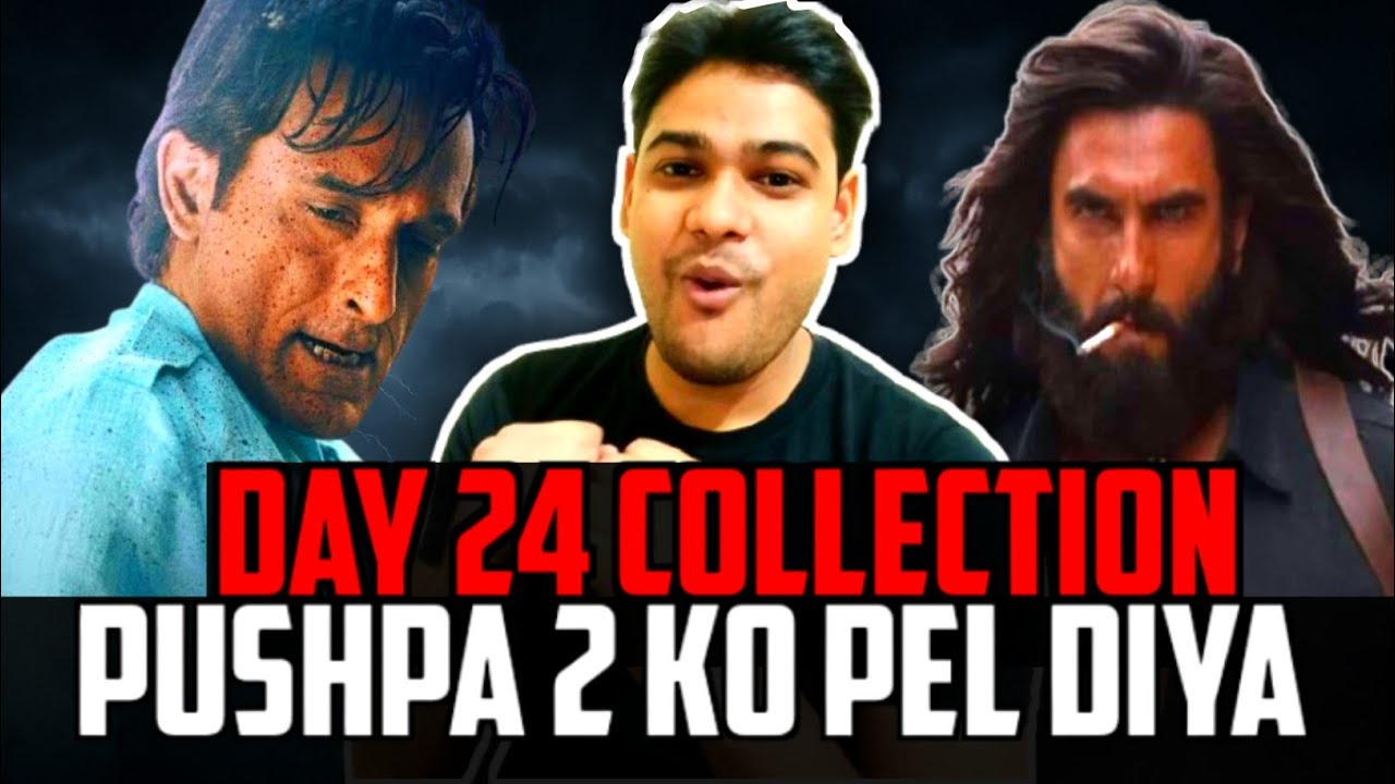 Dhurandhar Movie Day 24 Box Office Collection Report| Dhurandhar Day 24 Collection 