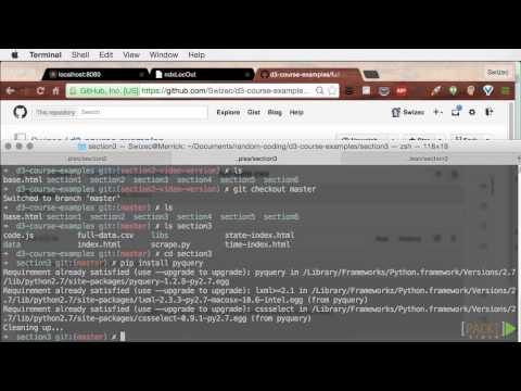 Mastering D3.js Tutorial: