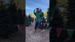 Doing the MERRY LiTMAS dance at a Christmas tree lot.. gone wrong #shorts #waitforit #omg #awkward