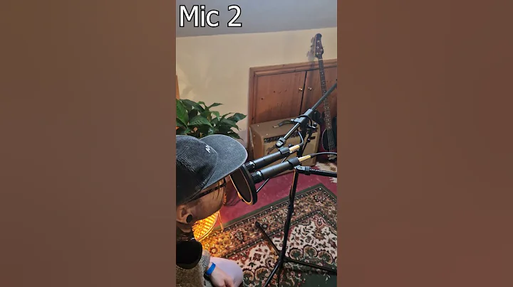 Temu SM57 vs. Shure SM57