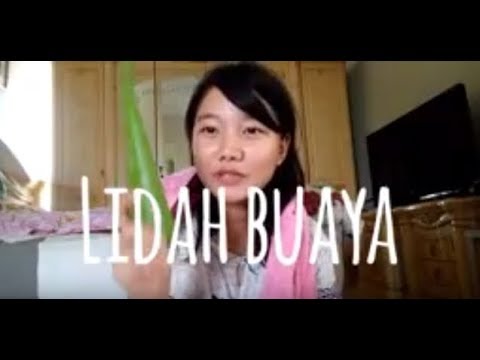 Cara menebalkan rambut  dengan  lidah  buaya  YouTube