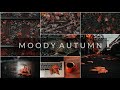 Moody Autumn Tone Preset | Lightroom Mobile Preset Free DNG | Lightroom Mobile Tutorial