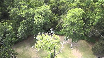 Catalyst Machineworks Prototype 3 Axis Brushless Gimbal Test