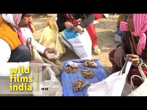 Ancient barter system comes alive at Jonbeel Mela in Assam India